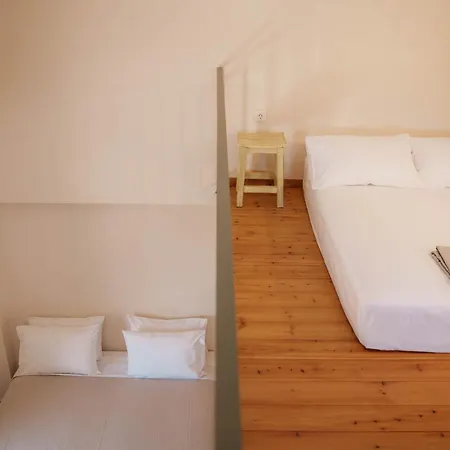 فيلة Kallis Stone *