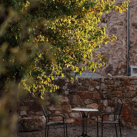 Kallis Stone أريبوليس