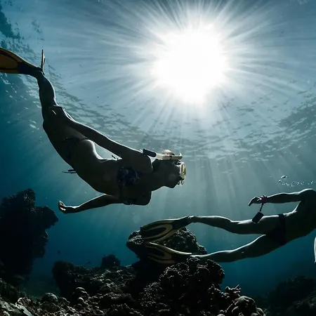 Kallis Stone أريبوليس