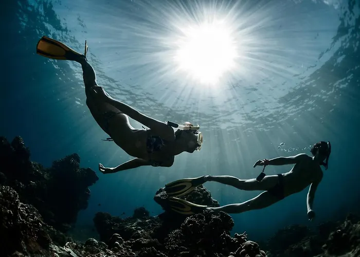 Kallis Stone 에리아폴리스